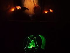 -巴黎迪士尼乐园