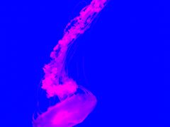 -多彩贵州城极地海洋世界