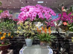 -双季花艺园艺市场(浦东店)