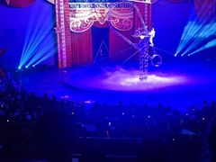 -珠海横琴长隆《卡卡虎奇遇记》