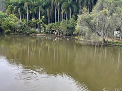 -滴水岩森林公园