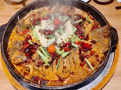 -老板恋上鱼(印象城店)