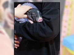 -藦茜花园宠物主题亲子互动体验馆(国顺东路店)