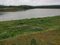 -盘龙城国家考古遗址公园