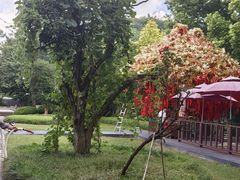 -狼山风景名胜区