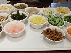 -杨姨妈丝娃娃(花果园店)