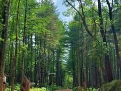 -洛阳白云山景区