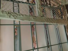 -喵屿·大理花园猫咖