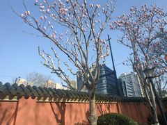 -星巴克(上海交通大学店)