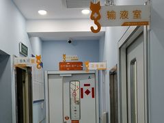 -纳吉亚猫专科动物诊疗中心(蒋宅口分院)