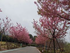 -自然谷恐龙园