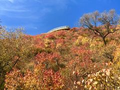 -御道口草原森林风景区