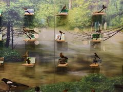 -下渚湖国家湿地公园科普馆