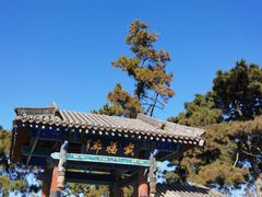 -中国唐苑