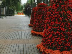-仁和公园(顺义区)