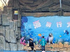 -合肥野生动物园