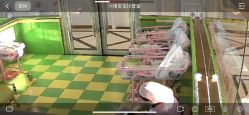 -国际月月生母婴月子中心(旗舰店)