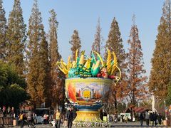 -黄海国家森林公园