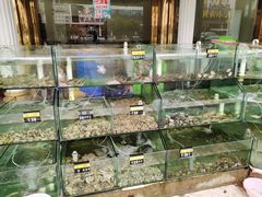 水产区-四海鲜渔家菜(黄金海岸店)