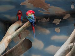 -石家庄市动物园