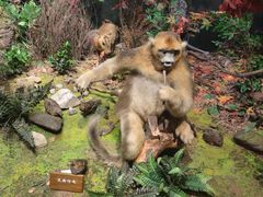 -陕西自然博物馆