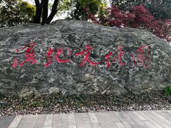 -长兴太湖图影湿地文化园
