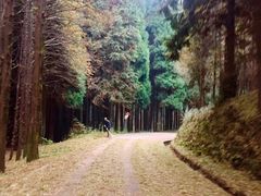 -山王坪喀斯特国家生态公园