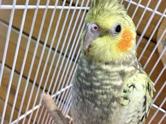 -龟与熊猫宠物公园(南坪店)