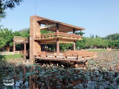 -李小龙乐园(顺德均安店)