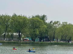 -WhaleSports户外水上运动俱乐部(朝阳公园店)