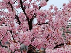 -张钰强中医正骨推拿连锁(唐家人才公寓店)