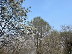 -秦岭终南山世界地质公园翠华山景区