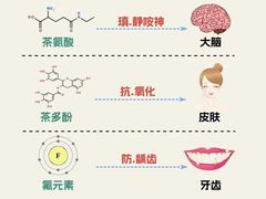 -华祥苑茶馆•国缤茶小蓝罐(普罗旺斯店)