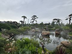 -罗红摄影艺术馆