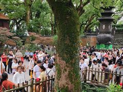 -普陀山风景名胜区-法雨禅寺