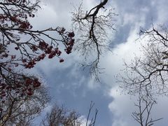 -北京灵山风景区