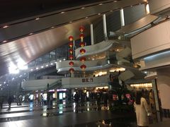 -合肥大剧院