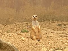 -杭州野生动物世界