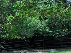 -泉州海丝野生动物世界