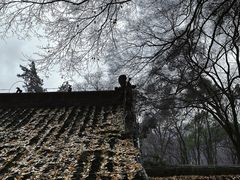 -古隆中景区