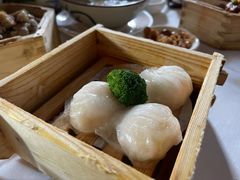 -侨美·唐荔园·40年地道粤菜