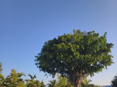 -德宏芒市国际机场