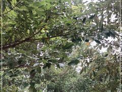 -集美鳌园景区