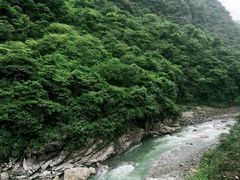 -虹口漂流