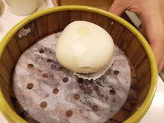 -火齐潮汕砂锅粥(五道口店)