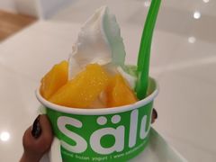 -Salud撒露欧洲冻酸奶(蓝色港湾店)