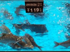 -艳阳天·非遗楚菜(武汉客厅店)