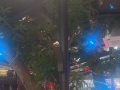 -海岛八号龙虾烧烤田鸡(蓝天路总店)