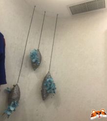 -健身堂科技美肌SPA
