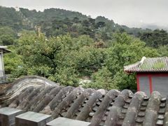 -翼松楼餐厅